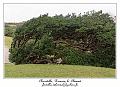 IMG_2089_RD