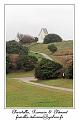 IMG_2090_RD