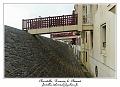 IMG_2104_RD