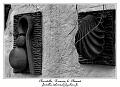 IMG_2131_RD