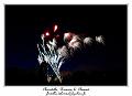 IMG_6361_RD