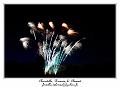 IMG_6362_RD