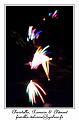 IMG_6390_RD