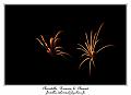 IMG_6398_RD