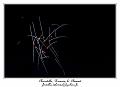 IMG_6407_RD