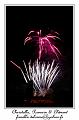 IMG_6433_RD
