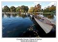 IMG_6990_RD