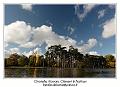 IMG_7000_RD
