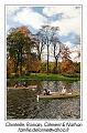 IMG_7006_RD