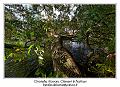 IMG_7010_RD