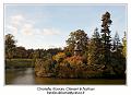 IMG_7020_RD