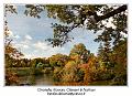 IMG_7026_RD