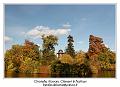 IMG_7027_RD
