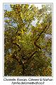 IMG_7028_RD