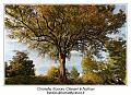 IMG_7030_RD
