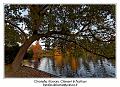 IMG_7040_RD