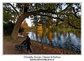 IMG_7041_RD