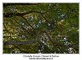 IMG_7057_RD