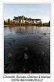 IMG_7058_RD