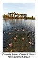 IMG_7059_RD