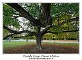 IMG_7061_RD