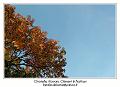 IMG_7062_RD