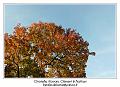 IMG_7063_RD