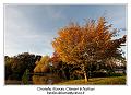 IMG_7064_RD