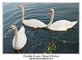 IMG_7065_RD