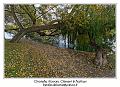 IMG_7081_RD