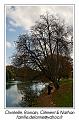 IMG_7096_RD