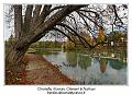 IMG_7097_RD