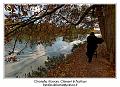 IMG_7098_RD