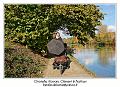 IMG_7110_RD