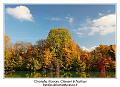 IMG_7111_RD