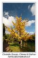 IMG_7116_RD