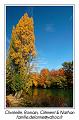 IMG_7121_RD