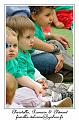 IMG_6238_RD