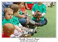 IMG_6239_RD