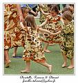 IMG_6248_RD