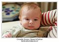 IMG_7311_RD