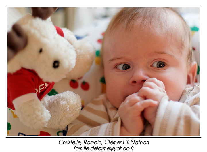 IMG_7580_RD.jpg - Maman, y'a un Renne qui m'observe!