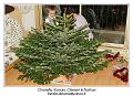 IMG_7480_RD