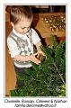 IMG_7482_RD