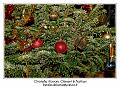 IMG_7497_RD
