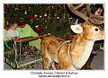 IMG_7501_RD