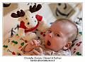 IMG_7588_RD