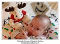 IMG_7590_RD