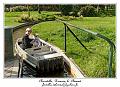 IMG_5962_RD