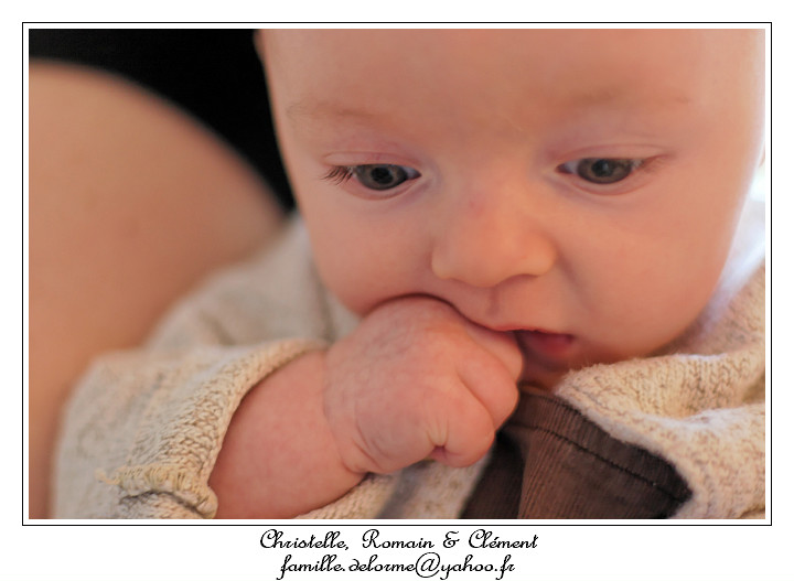 IMG_5894_RD.jpg